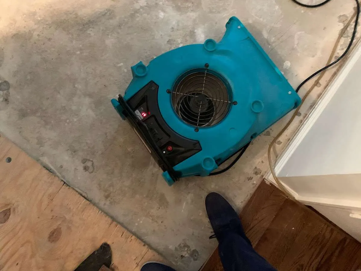 Air mover drying subfloor during Leak Detection & Repair in Forest City